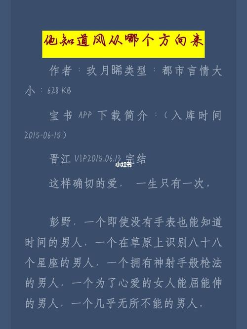 玖月晞孟宴臣是哪本小说「玖月晞涉嫌抄袭」 玻璃