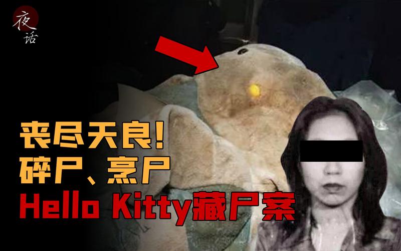 中国有没什么比较离奇的刑事案件「hellokitty的真身」 家电玻璃