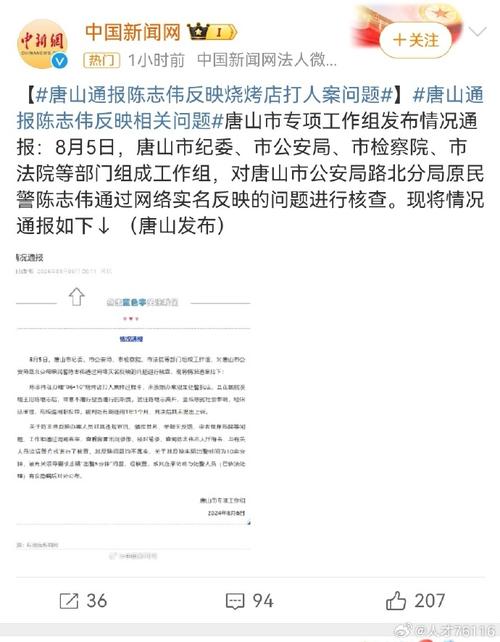 最高院的报告指示会让唐山打人案中的陈继志提高死刑几率吗「举报执法者」 建筑玻璃