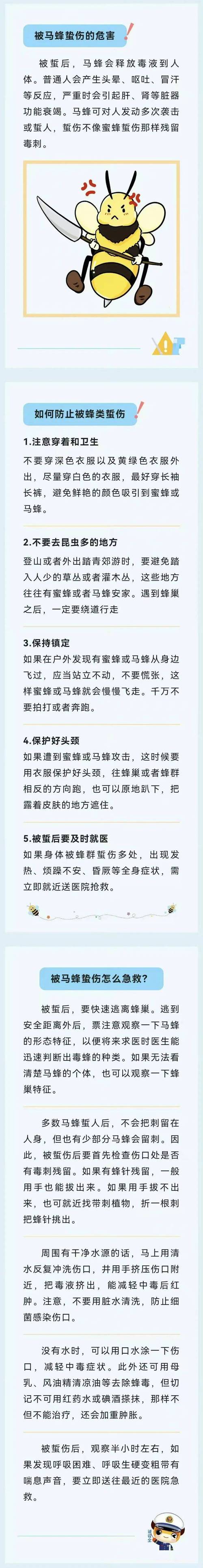 碰到蜂窝怎么办「掏蜂窝被蛰昏在树上什么意思」 玻璃市场